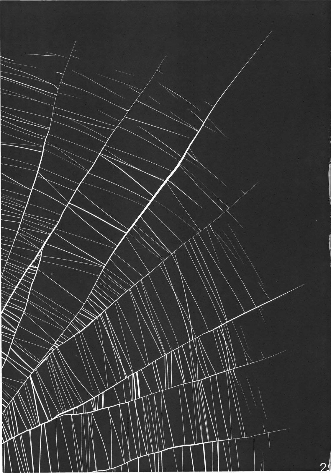 Ecolière araignée bustée séduit victime en rencontre futanari écchi - Image 27