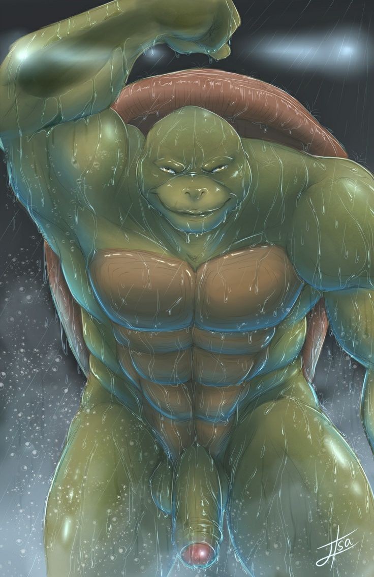 Schwule Ninja-Schildkröten Analsex und Schwanzwichsen - Image 2