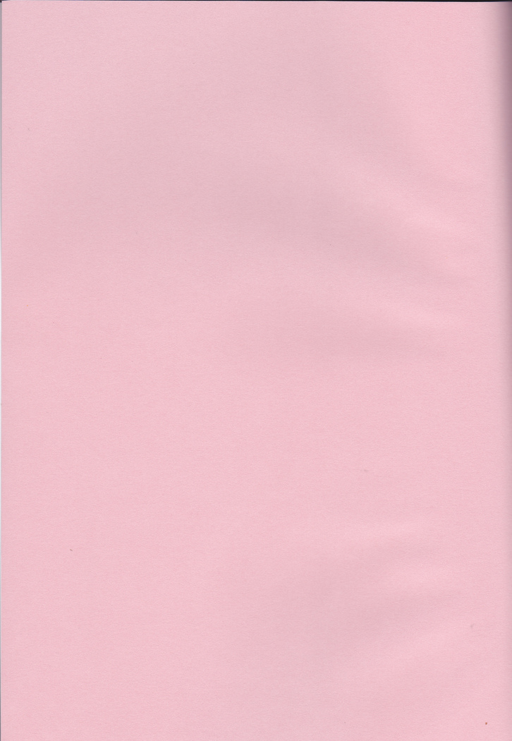 Nami wird von Luffy intensiv geleckt und gefickt - Image 2