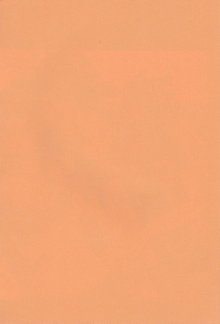 Luffy fickt Namis große Titten in einem heißen One Piece Hentai Manga - Image 2