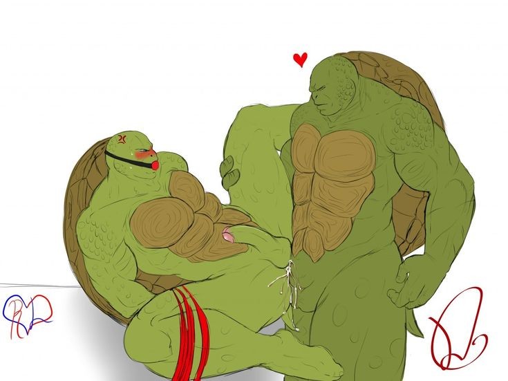 Sexe gay entre Raphaël et Léonardo dans TMNT 2014 - Image 11