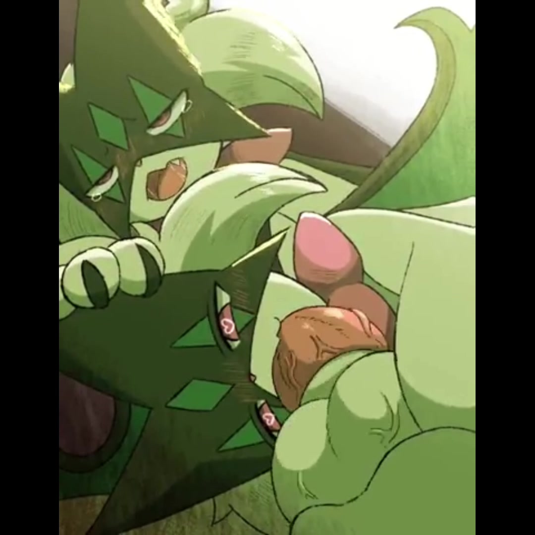 Commande protéine intense mewscarada