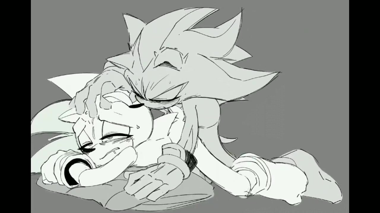 لقاء سونيك الظل