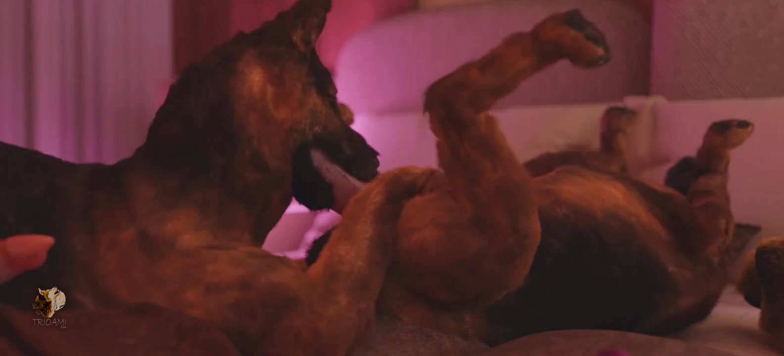 Le chiot trouve une autre