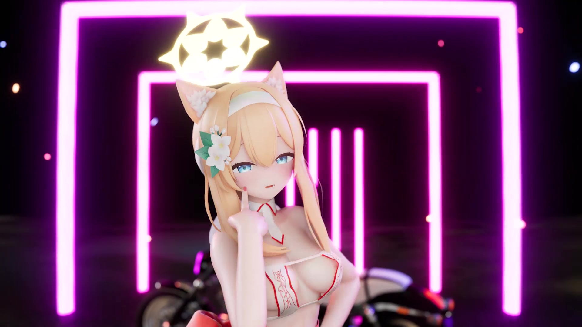 قط راهبة مغناطيسية