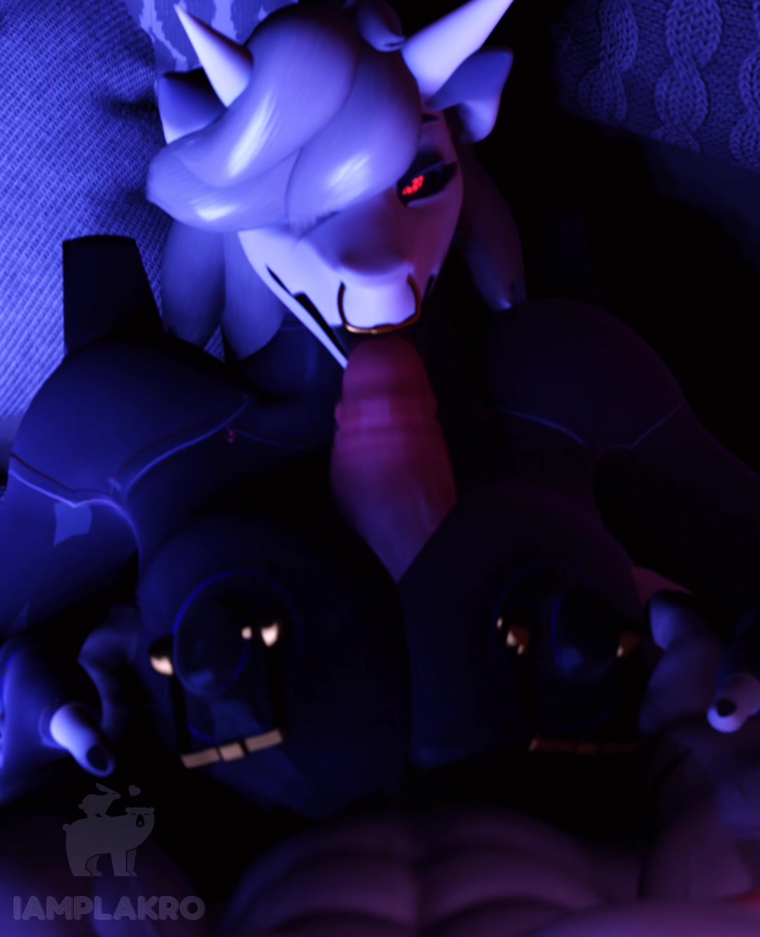 Noite em casa com plakro