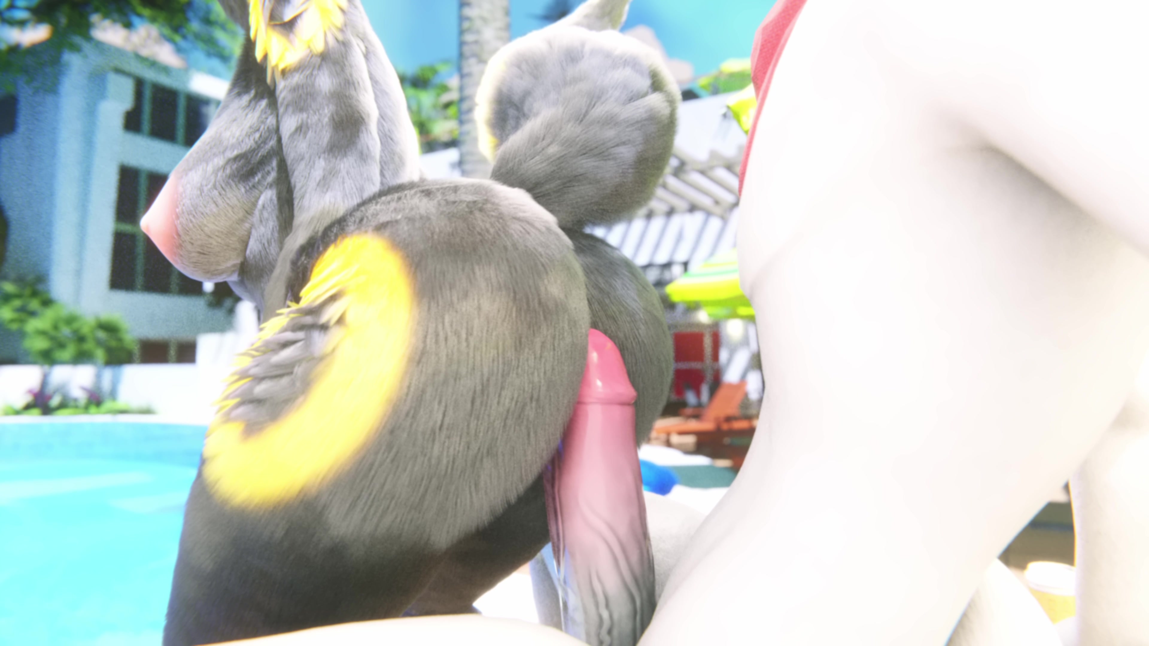 сцена у бассейна с амбреоном от opusnine