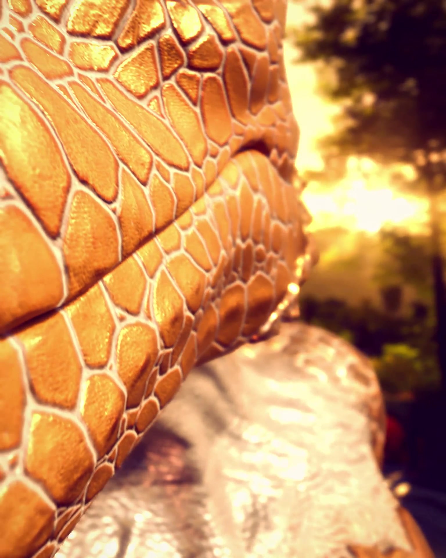 メロニクムのオーラルヴォア