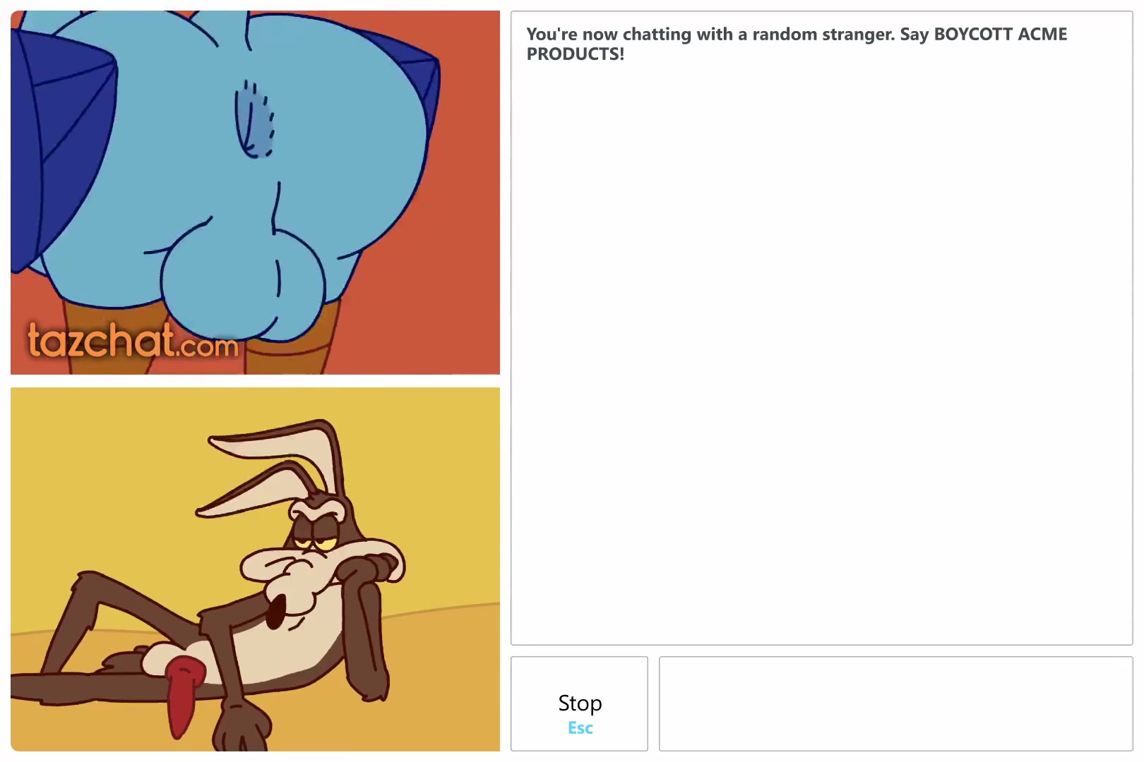 птица пашет