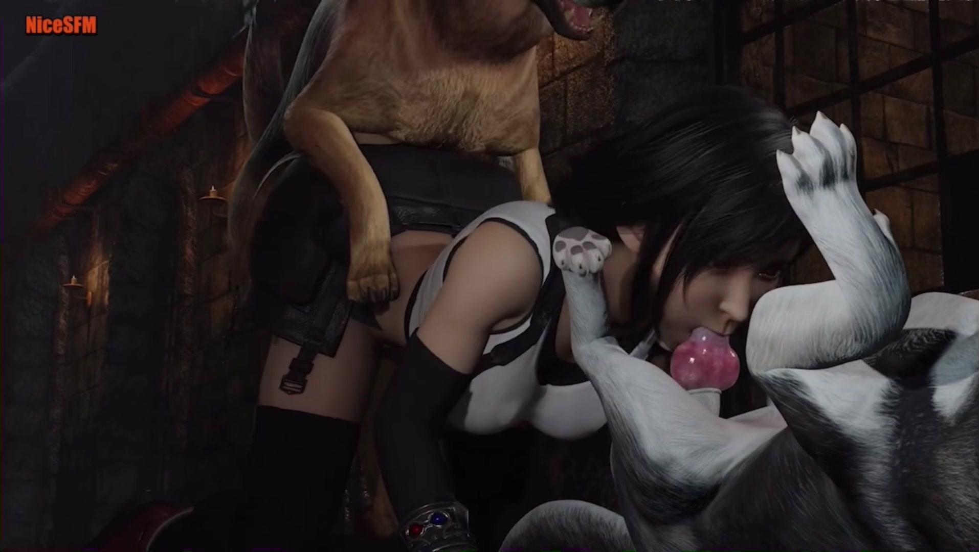 淑女は犬が好き