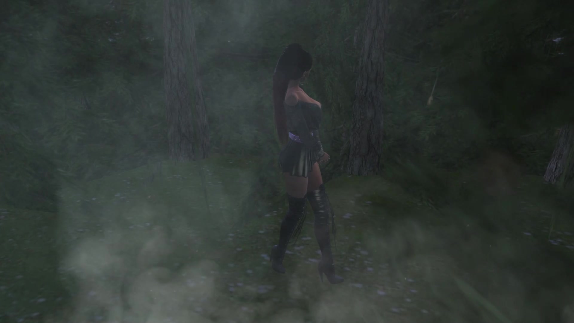 Misterio travieso del bosque