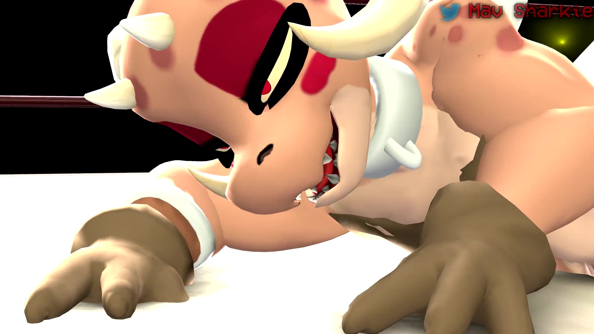 فور شرجي مُشَرِّد من ماف شاركي