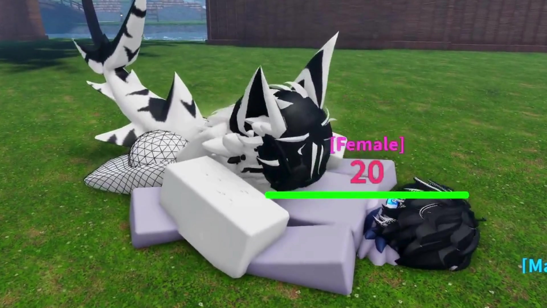 鲨鱼性爱触手扶她色情