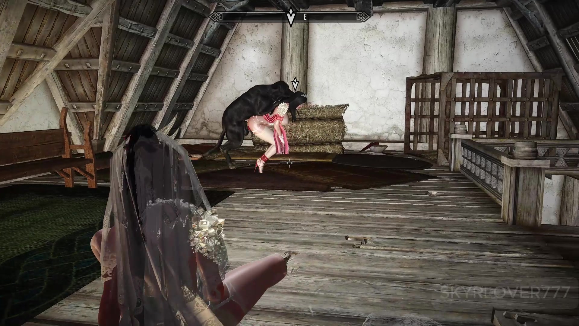 动物宅邸预览：热门第一部分x免费