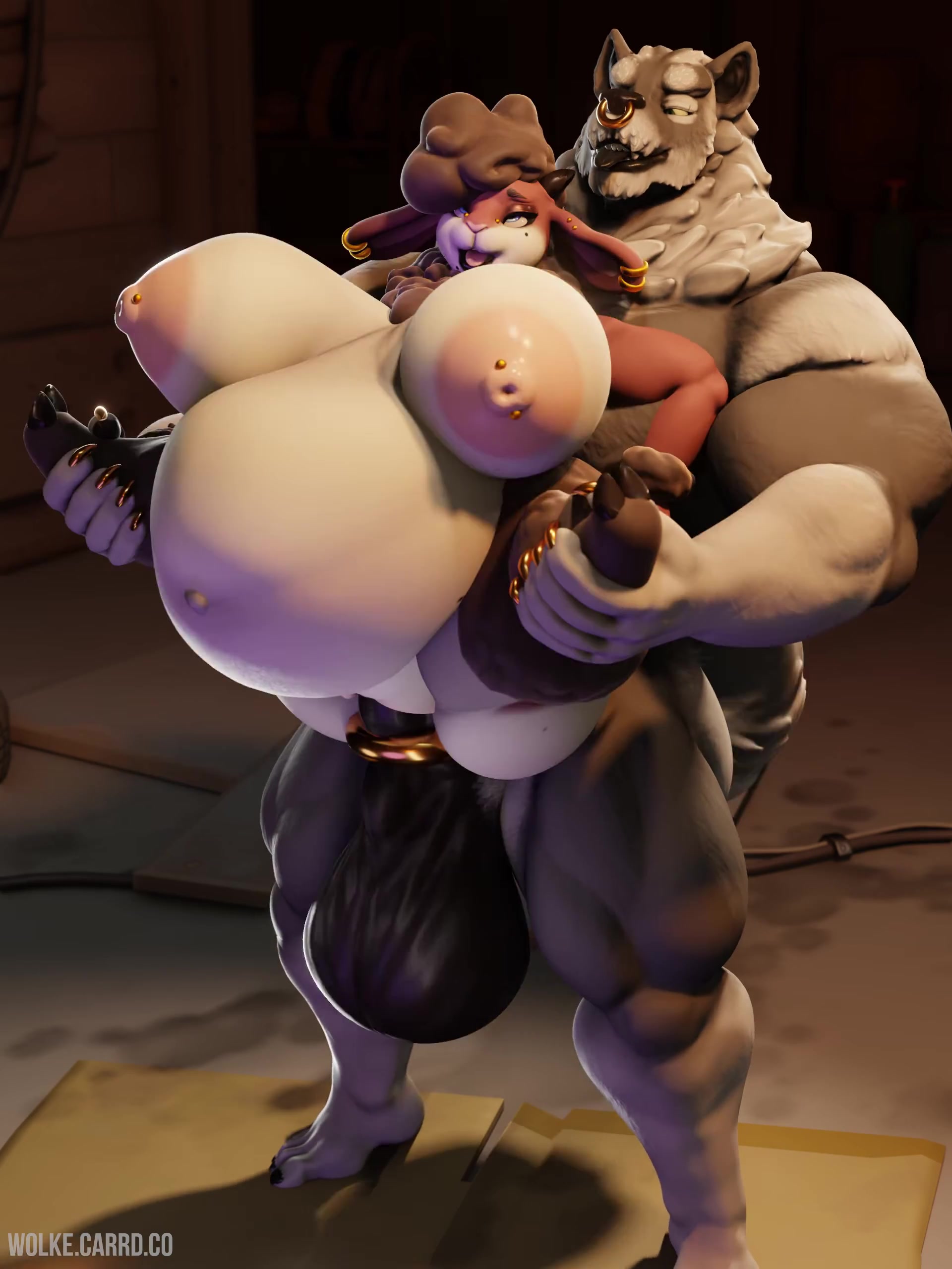 ذئب يضاجع خروفًا كبيرًا مغطى بالفرو