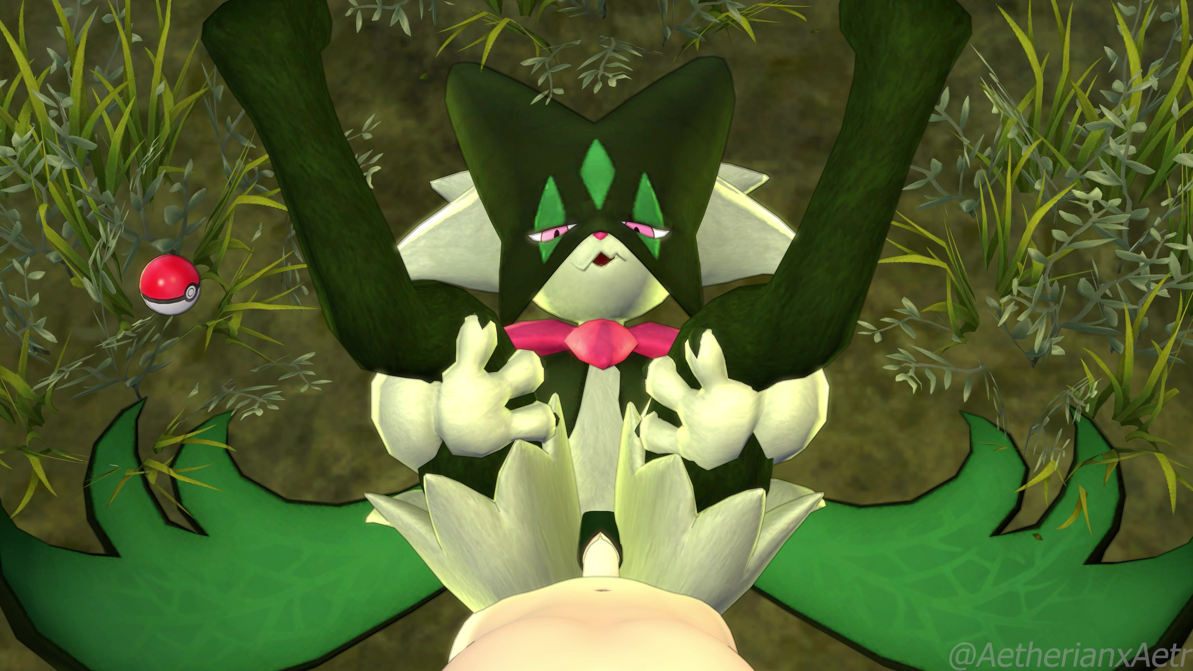 4k喵斯卡达传教士体位轮廓