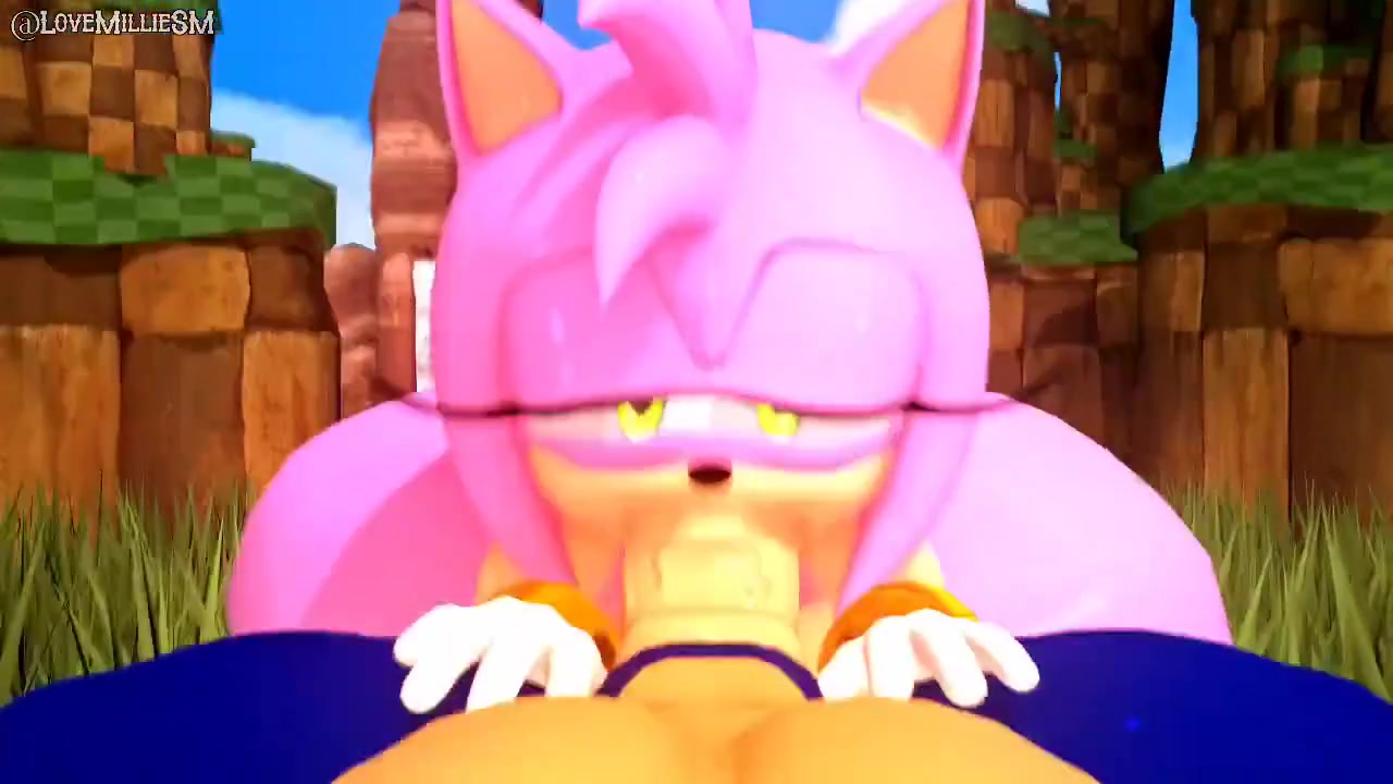 Encontro de sonic e amy