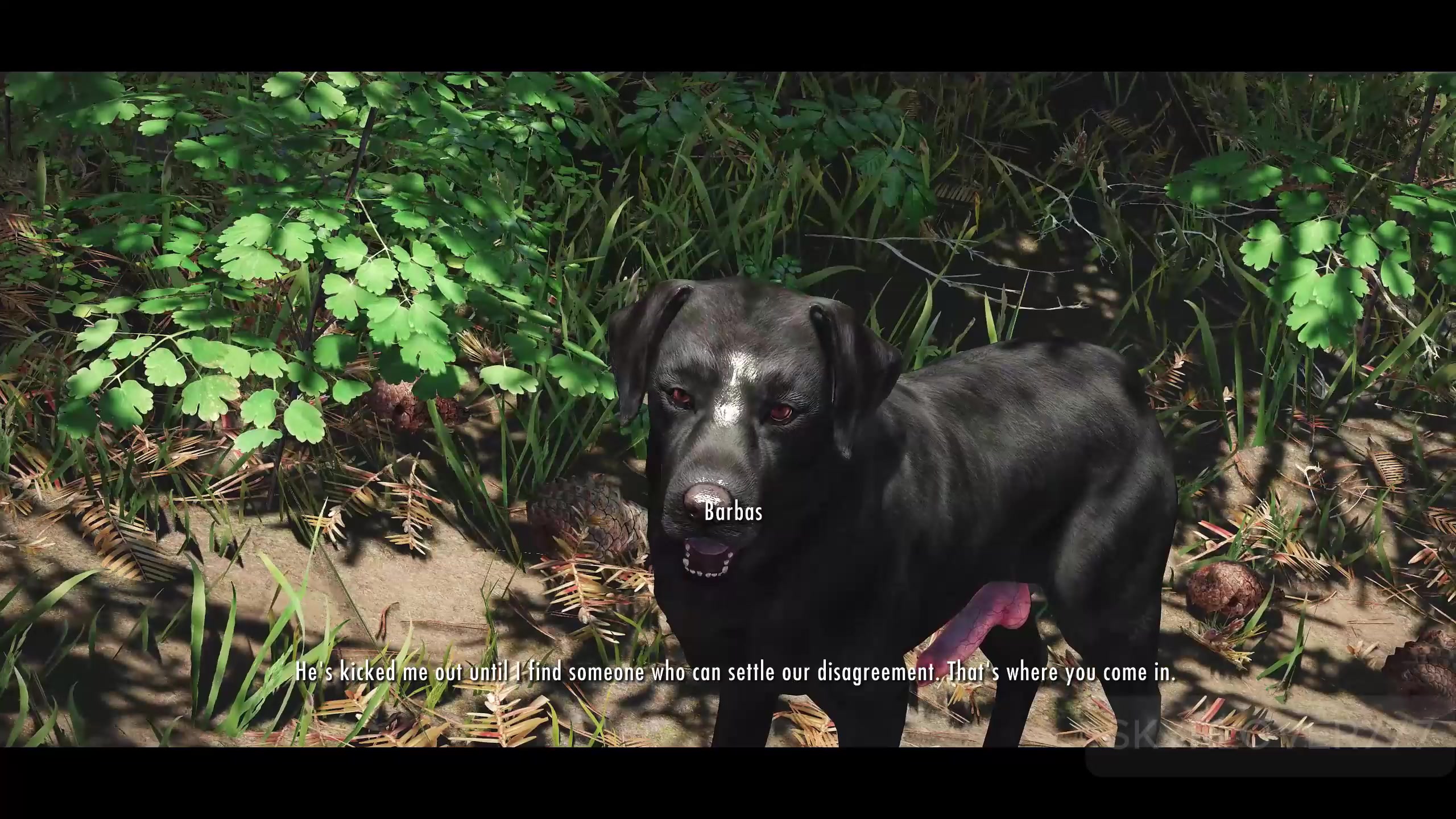 Encuentro barbas en x.com gratis