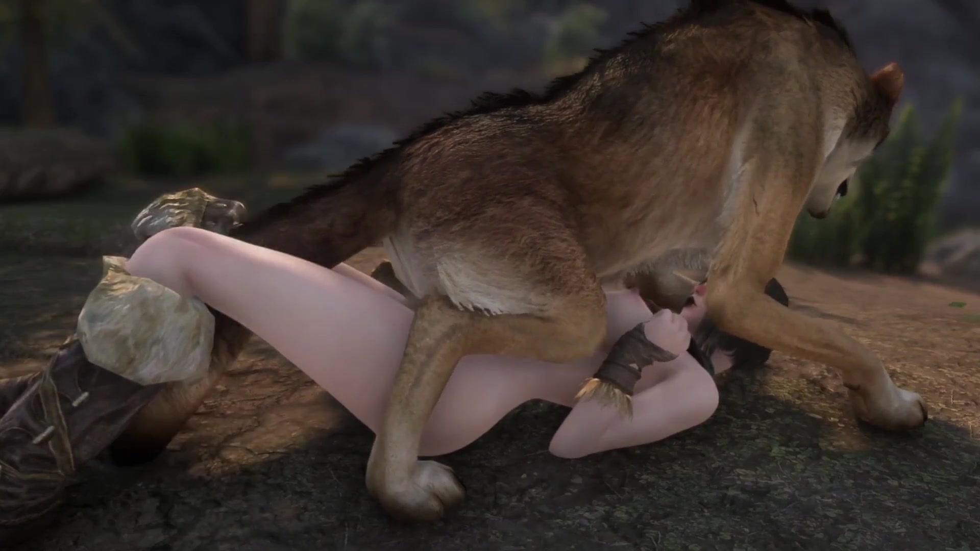 Encuentro en el bosque con lobos