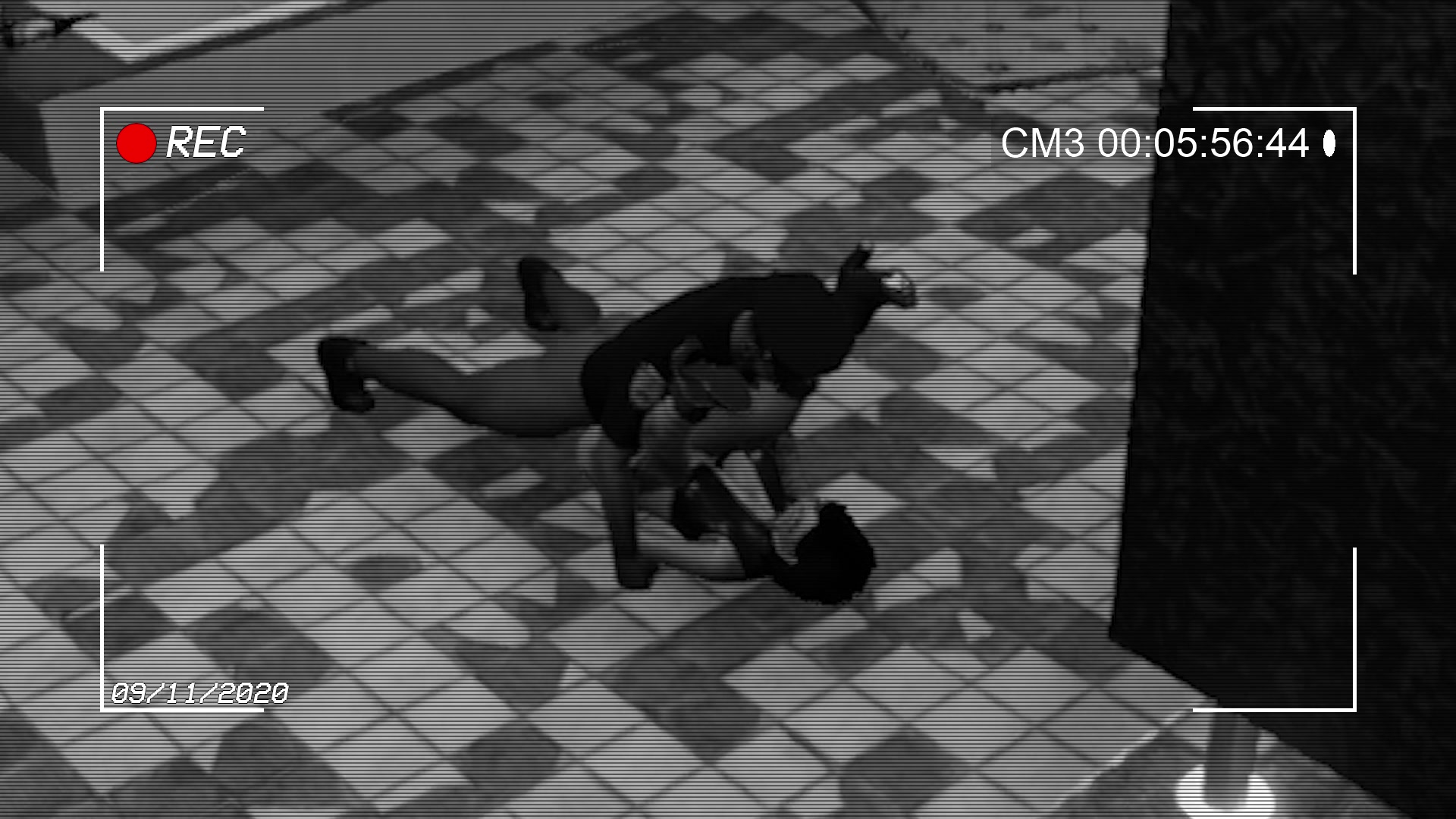 écolière dans le métro tentacule futanari érotique cam