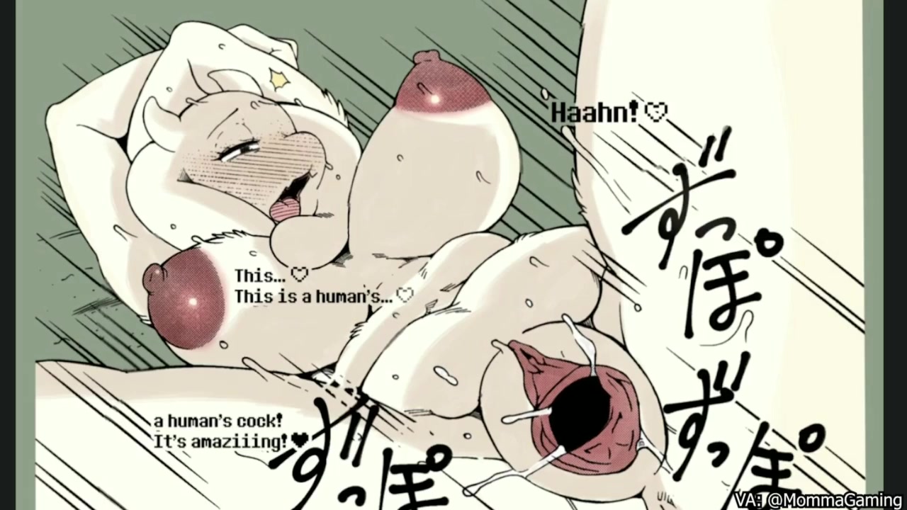 Toriero comic compilation → toriero comic collection