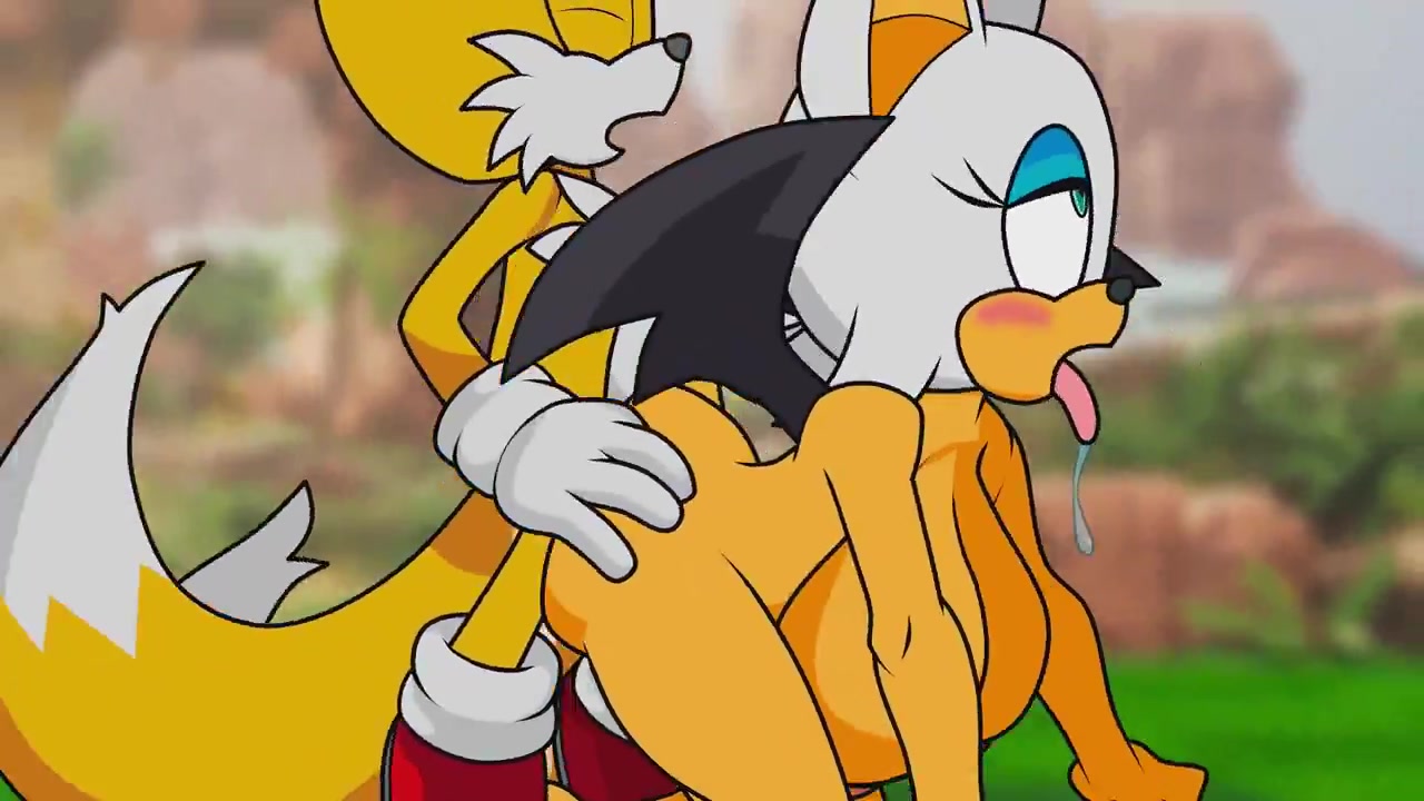 テイルスがラフにルージュを犯す