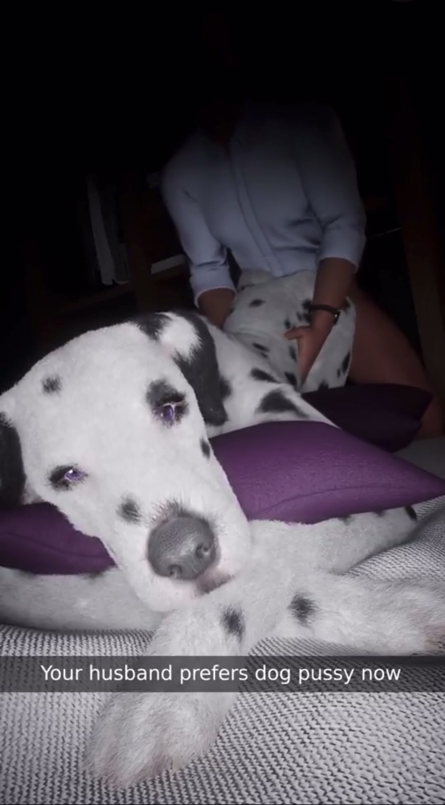 与家狗的淘气出轨