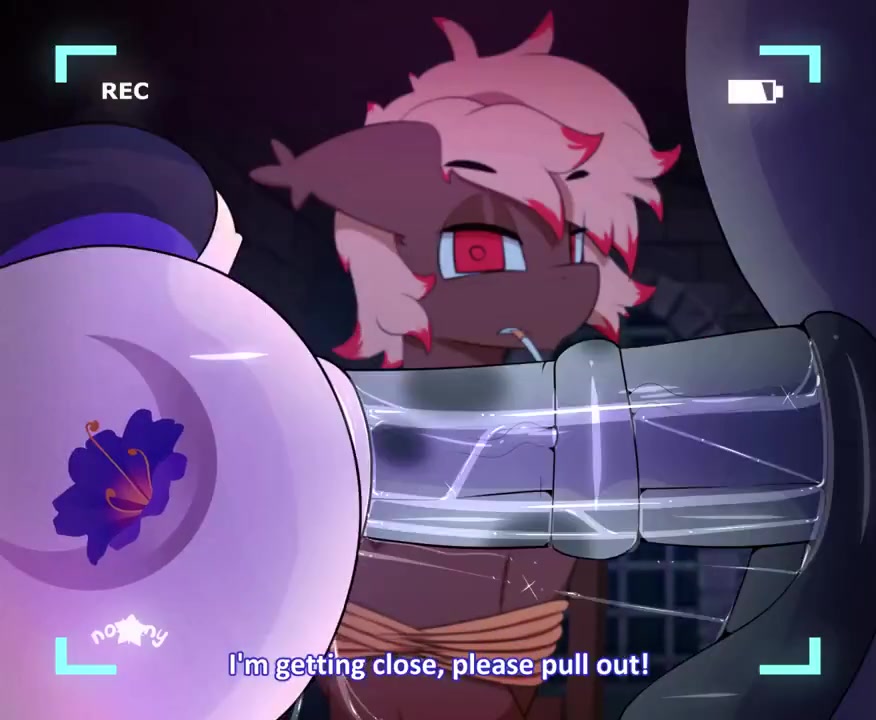 Sexuelle netorare-begegnung mit einer stute