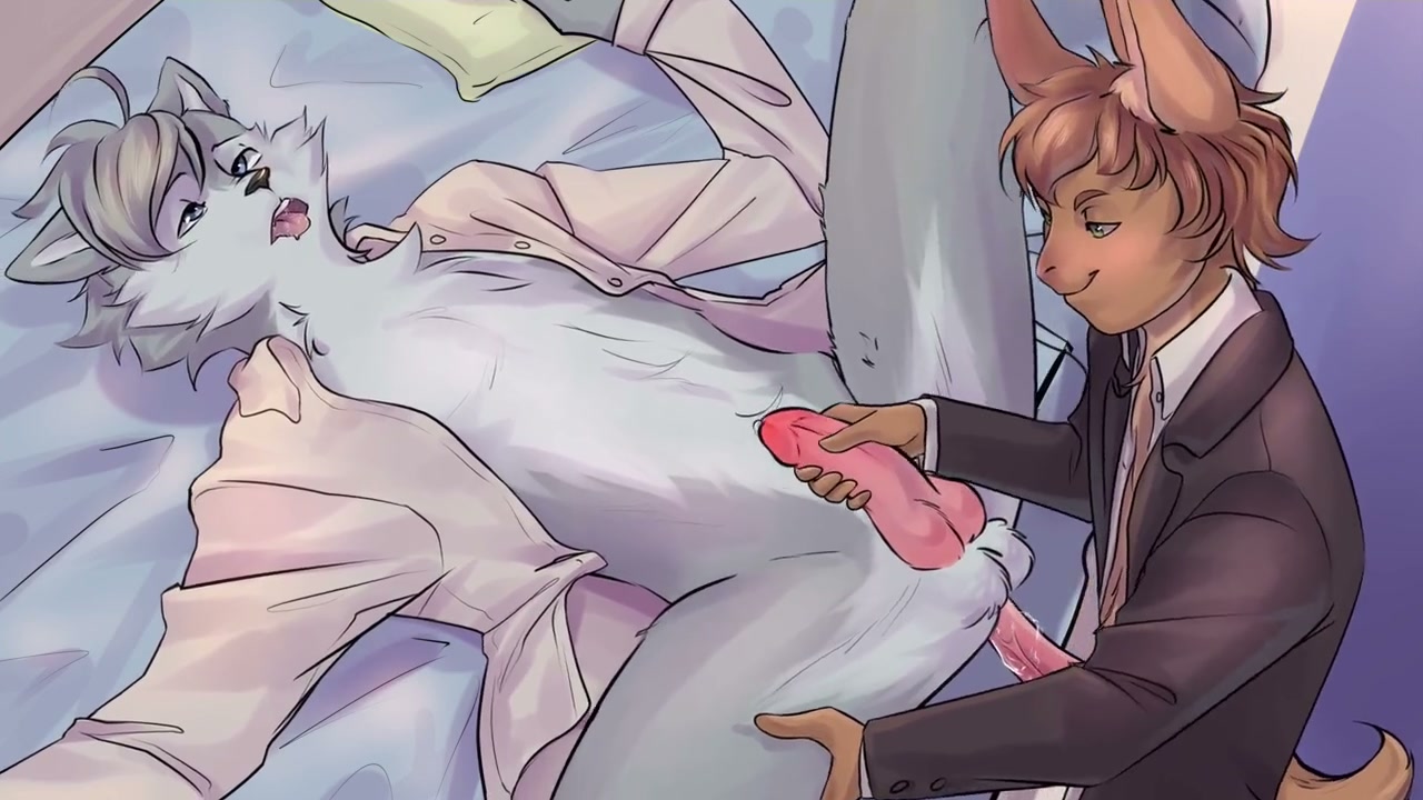 пушистые геи-соседи по общежитию